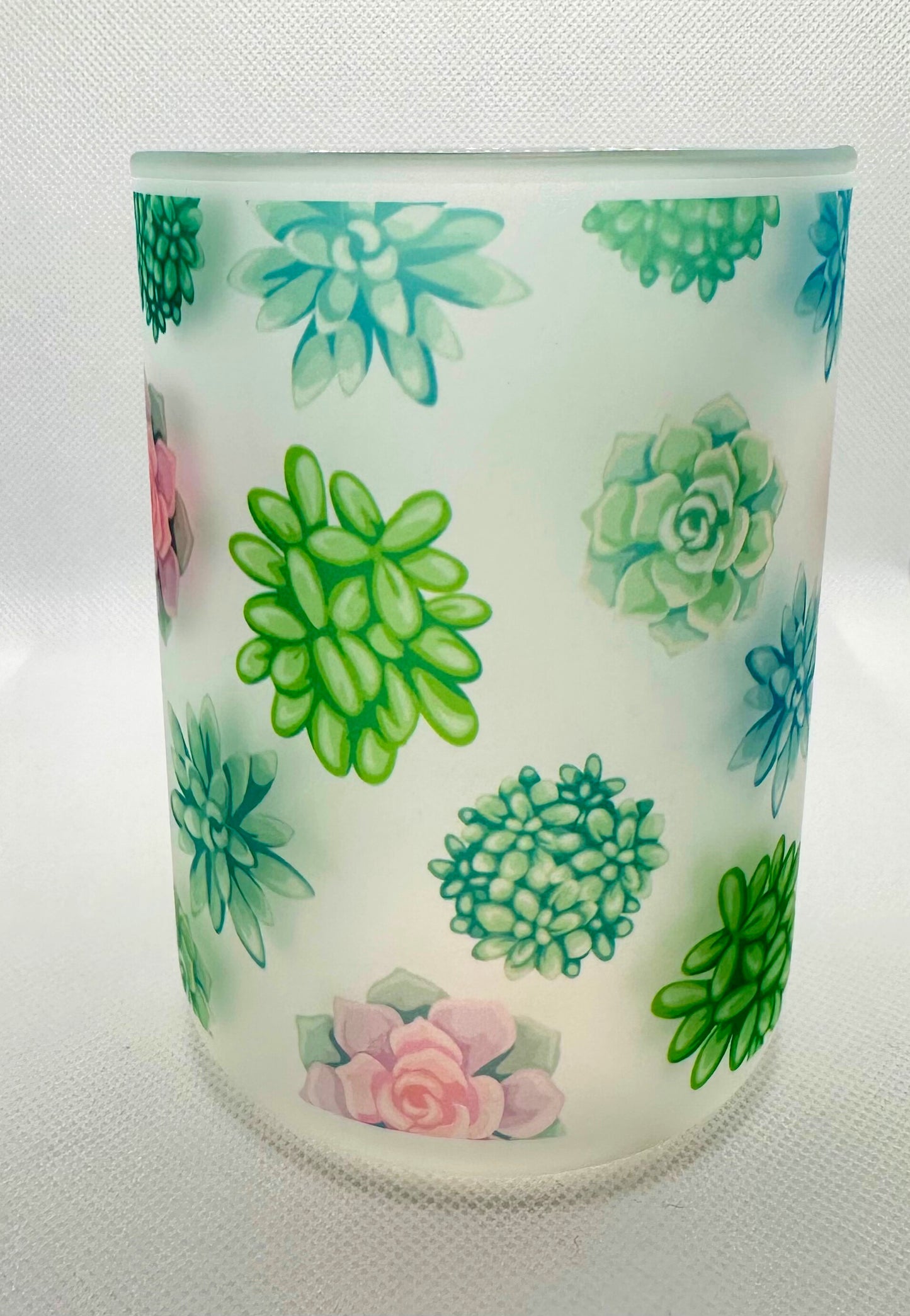 Succulent Frosted Mug